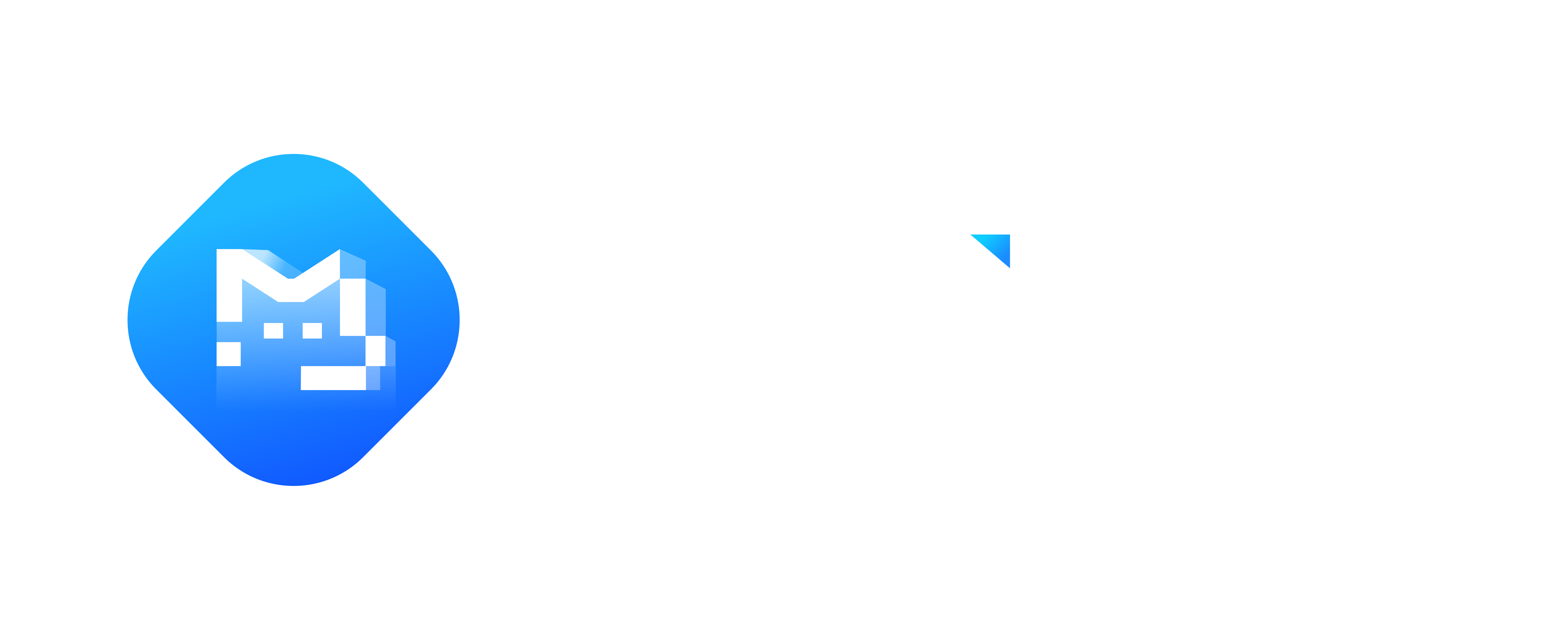MagicBI